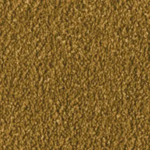 Vorwerk® Fascination, Alba - 2F97