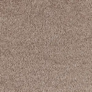 Lano X Wohnen - 0260 CAMEL