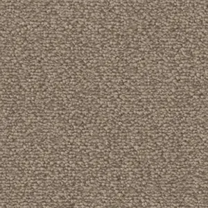 DAS/TEPPICH/WERK Fascination, Lyrica - 8L32