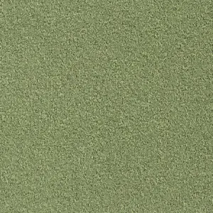 Lano Pilotis - 520 FERN