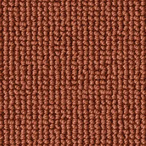 DAS/TEPPICH/WERK Fascination, Rustica - 1Q00