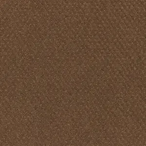 Lano Pilotis - 261 CAMEL