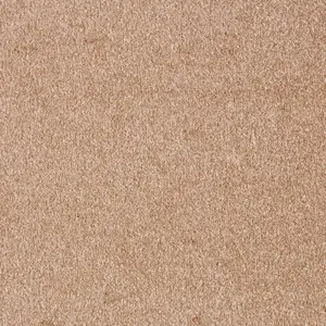 Associated Weavers Sensation New, Sensualite - 41