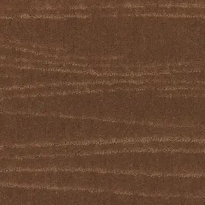 Lano Pilotis - 261 CAMEL