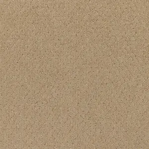 Lano Carve Classic - 251 WHEAT