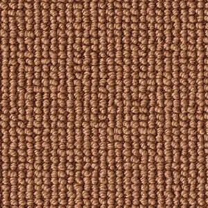 DAS/TEPPICH/WERK Fascination, Rustica - 1Q01