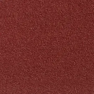 Lano Minerva - 120 CORAL