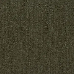 Lano Loft Life Pure - 0591 MOOS